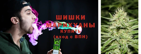 стаф Аркадак