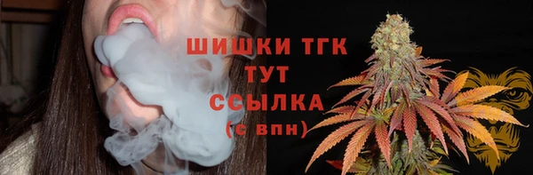 стаф Аркадак