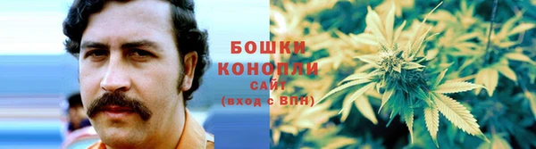 стаф Аркадак