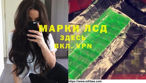 стаф Аркадак